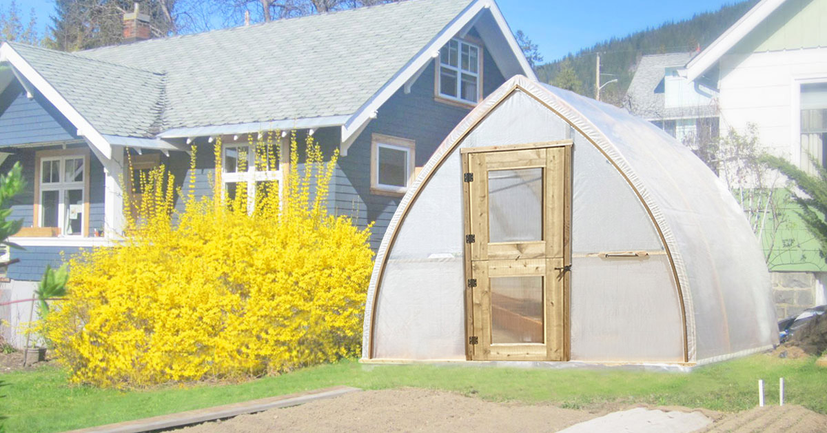 Factors for Building Great Greenhouse Beautiful custom greenhouse with a bright yellow flowering bush in the background.