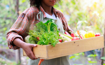Grow Green This Earth Day: 5 Eco-Friendly Greenhouse Tips from Argenta Greenhouse Company